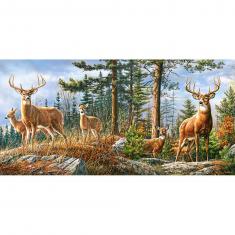 Puzzle 4000 pièces : Famille Cerf Royal