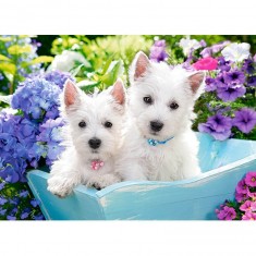 200 piece puzzle: Westie puppy