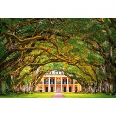 Oak Alley Plantation, Puzzle 1000 pieces 