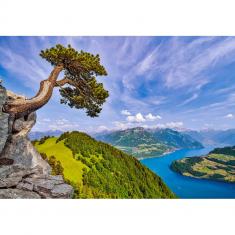 Puzzle 1000 pieces: View of Lake Uri, Switzerland