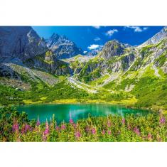 Puzzle 1000 piezas: Zelene Pleso, Tatras, Eslovaquia