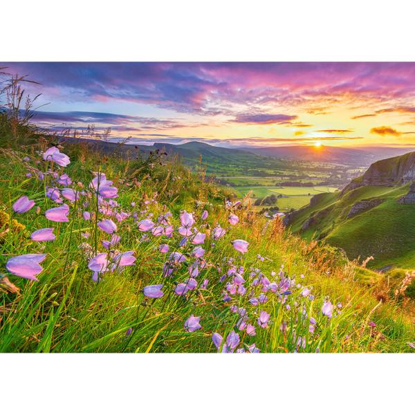 Puzzle mit 500 Teilen: Glockenblumen bei Sonnenaufgang - Castorland-B-53681