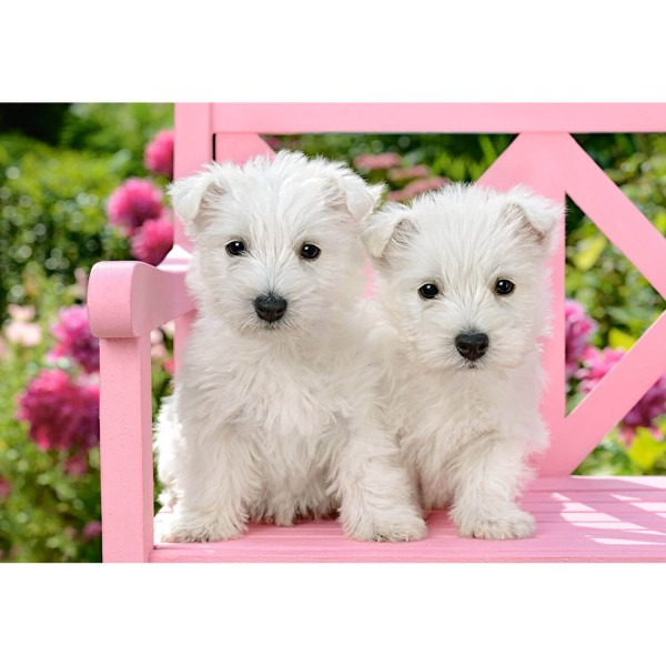 1500 pieces puzzle: white terrier puppies - Castorland-151721-2