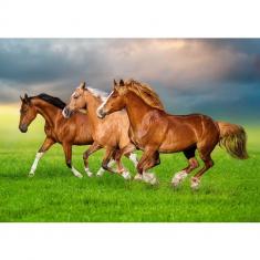 Puzzle 500 pieces: Horses in the spring rush