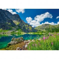 Puzzle 500 pieces : Czarny Staw pod Rysami, Tatras, Poland