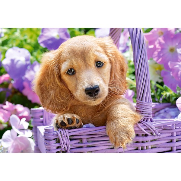 1000 pieces puzzle: Puppy in a basket - Castorland-103799-2