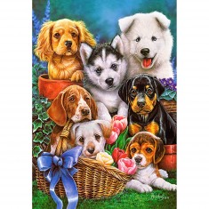 Puzzle 1000 pièces : Tableau de chiots