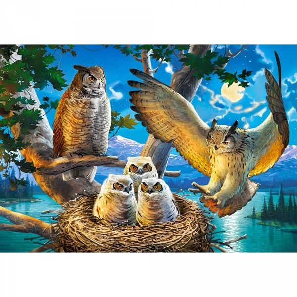 Owl Family, Puzzle 500 pieces  - Castorland-B-53322