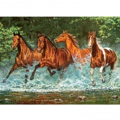 300 piece puzzle: Riding in the water