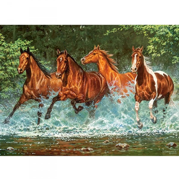 300 piece puzzle: Riding in the water - Castorland-B-030361