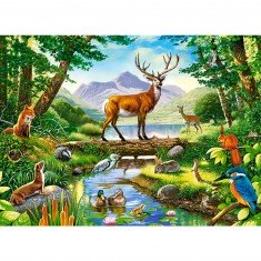 Puzzle 300 pièces : Harmonie dans les bois