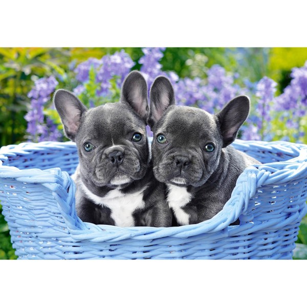 French Bulldog Puppies,Puzzle 1000 pieces  - Castorland-104246-2
