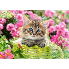 Puzzle de 500 piezas: Gatito en el jardín de flores
