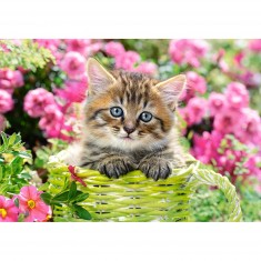 Puzzle 500 pièces : Chaton dans le jardin fleuri