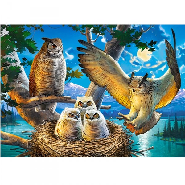 180 piece puzzle: Family of owls - Castorland-B-018437
