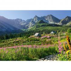 1000 piece puzzle : Gąsienicowa hall in Tatras