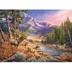 1000 piece puzzle : September Passage  