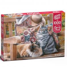 1000 piece puzzle : Sit A Spell  