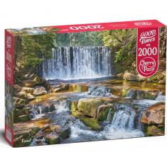 Puzzle 2000 pièces : Cascade forestière
