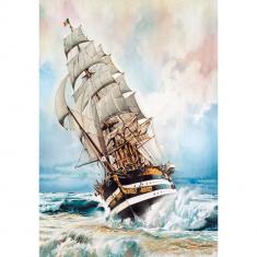 Puzzle Compact 1000 pieces : Amerigo Vespucci 