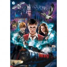 Puzzle Compact 1000 pièces : Harry Potter