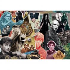 300 piece puzzle : Harry Potter