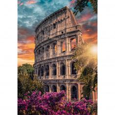 500 piece puzzle : Flavian Amphitheatre