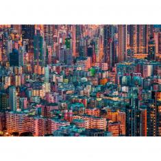 1500 piece puzzle : Hong Kong, The Hive