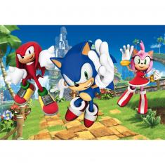 104 piece puzzle: Sonic