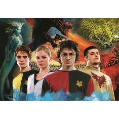 Puzzle 1000 pièces : Harry Potter : La Coupe de feu