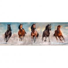 1000 piece panoramic puzzle : Chevaux