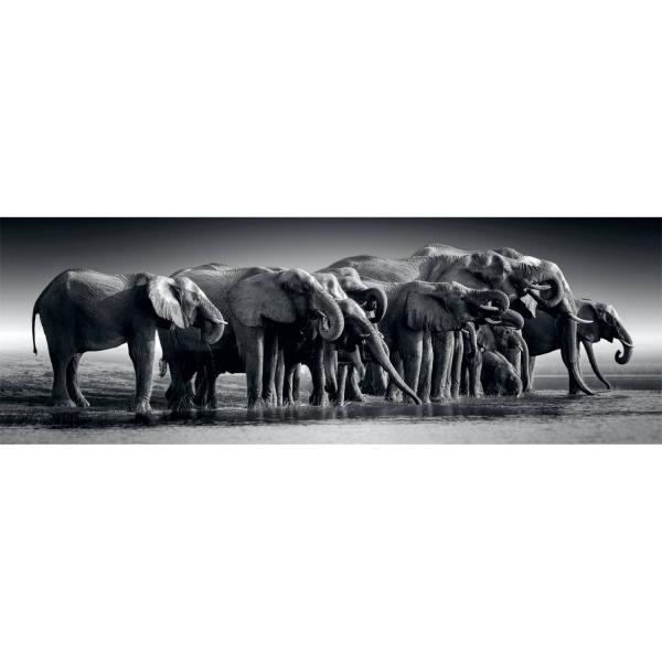 Puzzle Panorama 1000 pieces  : Herd of Giants  - Clementoni-39895