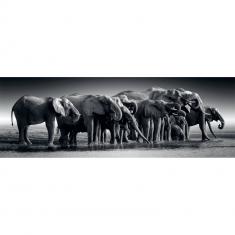  Puzzle Panorama 1000 piezas: Manada de Gigantes