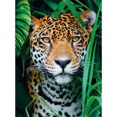 Puzzle mit 500 Teilen: Jaguar im Dschungel