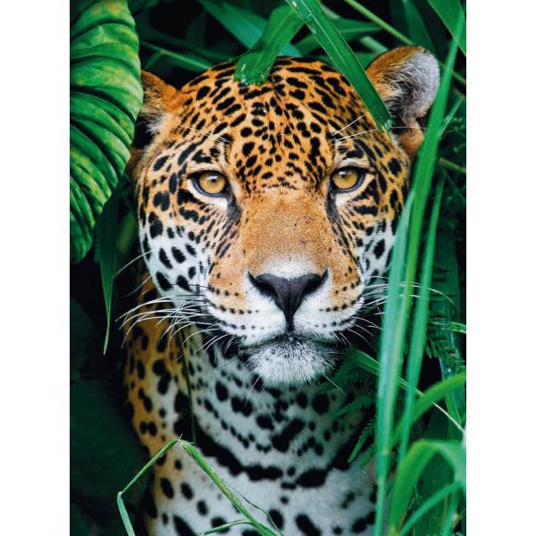 Puzzle mit 500 Teilen: Jaguar im Dschungel - Clementoni-35127