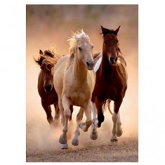 1000 pieces puzzle - galloping wild horses