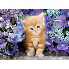 500 pieces puzzle: Red kitten in the middle of the flowers