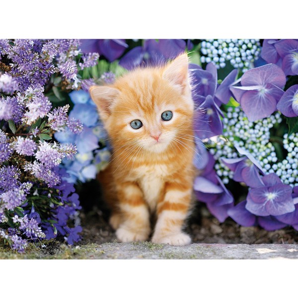 500 pieces puzzle: Red kitten in the middle of the flowers - Clementoni-30415