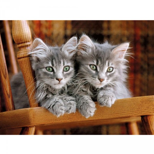 500 pieces puzzle: Two kittens on the lookout - Clementoni-30545