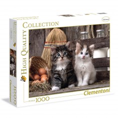 Puzzle 1000 pièces : chatons