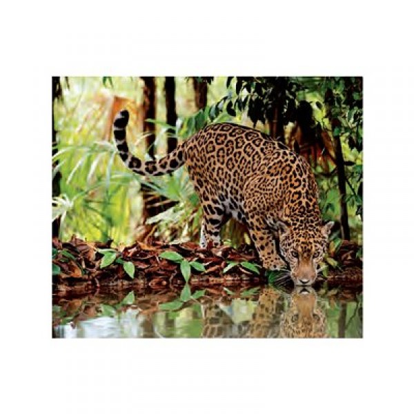 2000 Teile Puzzle - Der Leopard - Clementoni-32537