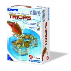 Science et jeu : Elève tes triops