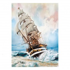 Puzzle 1000 pièces : Amerigo Vespucci