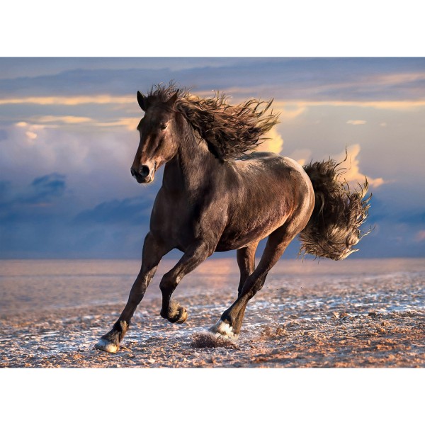 1000 pieces puzzle: wild horse - Clementoni-39420