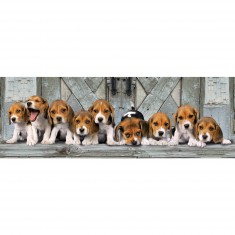 1000 pieces panoramic jigsaw puzzle: Beagles