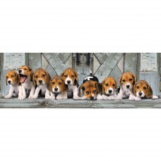 1000 Teile Panorama-Puzzle: Beagles