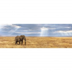 Panoramic 1000 pieces Jigsaw Puzzle: Lost