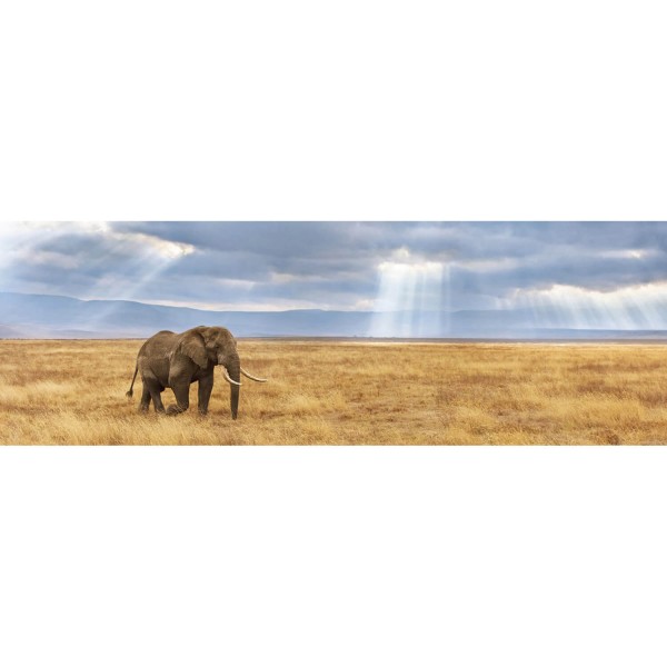 Panoramic 1000 pieces Jigsaw Puzzle: Lost - Clementoni-39484