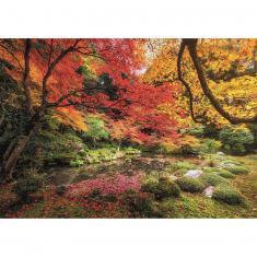 1500 pieces puzzle: Park in autumn