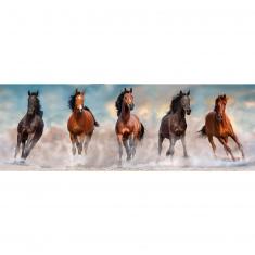 1000 pieces panorama puzzle : Horses